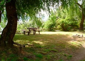 Picnic en Pucon